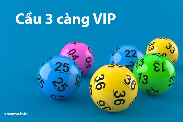 Cau-3-cang-vip