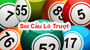 Soi-cau-lo-truot